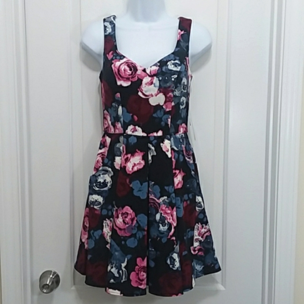Trixxi Floral Flare Dress